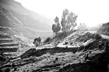 The colca valley inca ande photo