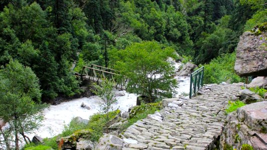 Pushpawati river inside the Valley of Flowers Uttarakhand I photo