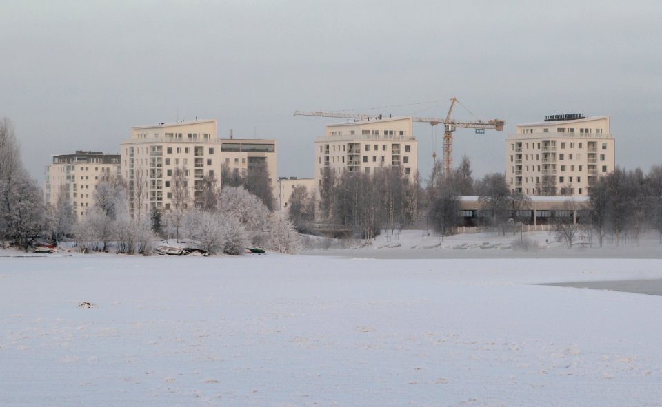 Puuri Toppila Oulu 20140119