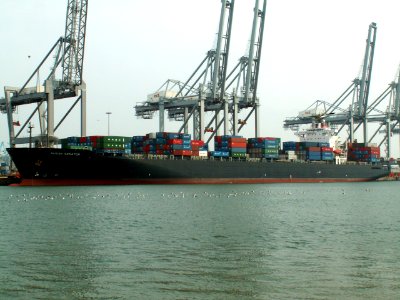Pusan Senator p2, at the Amazone harbour, Port of Rotterdam, Holland 07-May-2006