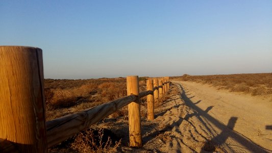 Punta entinas camino