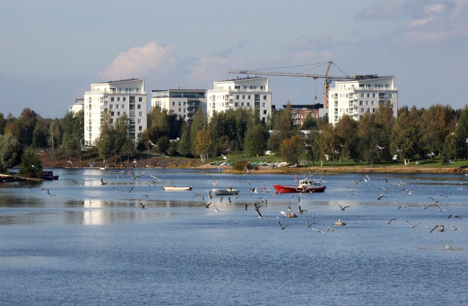 Puuri Toppila Oulu 20140906