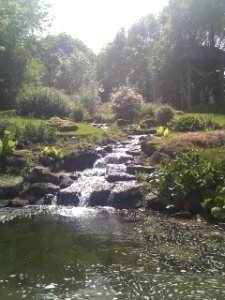 Puy du Fou - Parc nature - 03