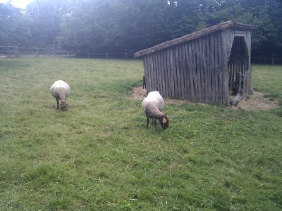 Puy du Fou - Parc nature - 13