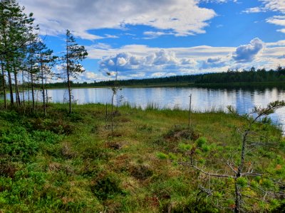 Pyyrälampi