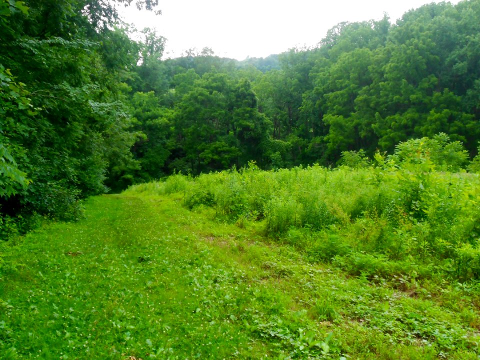 Raab Park, North Codorus twp, York Co PA