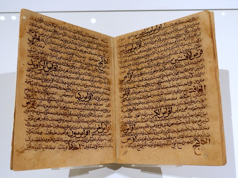 Qanun (Fil-Tibb), Canon (of Medicine), vol. 5, by Ibn Sina (Avicenna), Iran or Iraq, dated 444 AH, 1052 AD, watercolor and ink on paper - Aga Khan Museum - Toronto, Canada - DSC06338