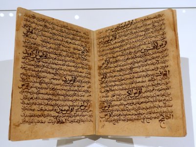 Qanun (Fil-Tibb), Canon (of Medicine), vol. 5, by Ibn Sina (Avicenna), Iran or Iraq, dated 444 AH, 1052 AD, watercolor and ink on paper - Aga Khan Museum - Toronto, Canada - DSC06338