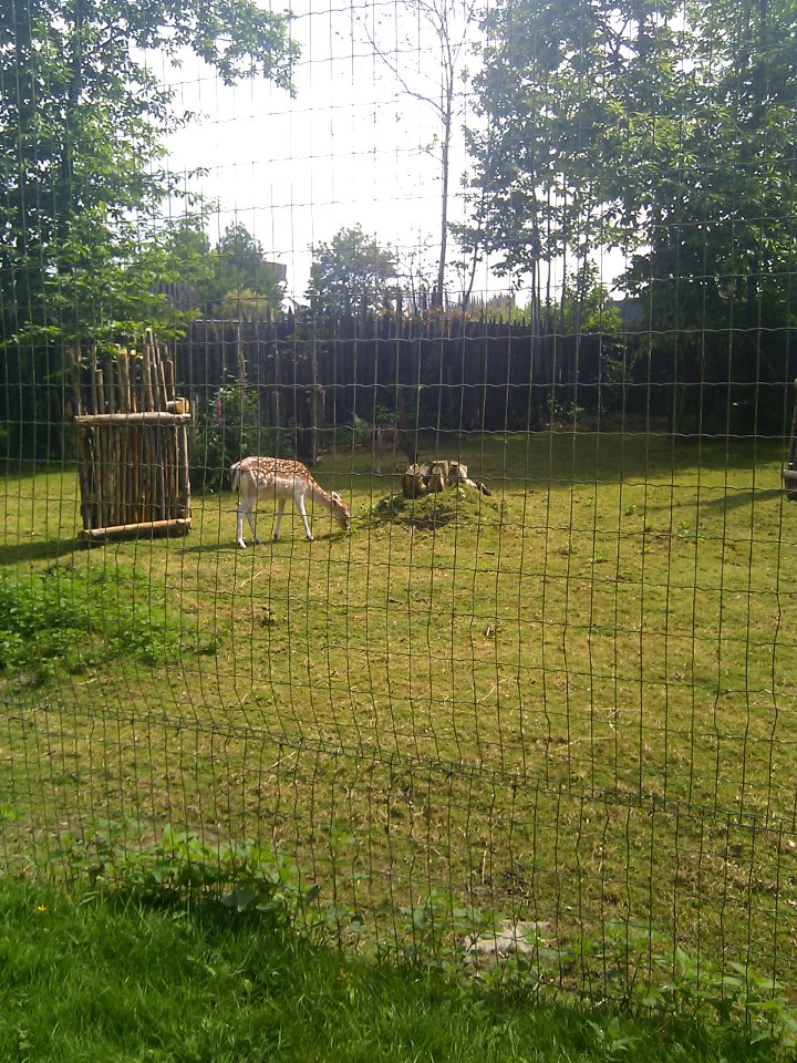 Puy du Fou - Parc nature - 02