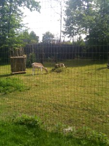 Puy du Fou - Parc nature - 02