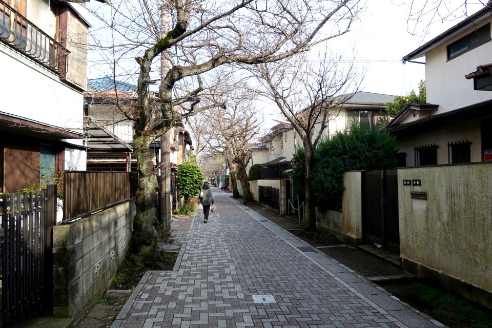 Quiet street - Kamakura, Kanagawa, Japan - DSC08370