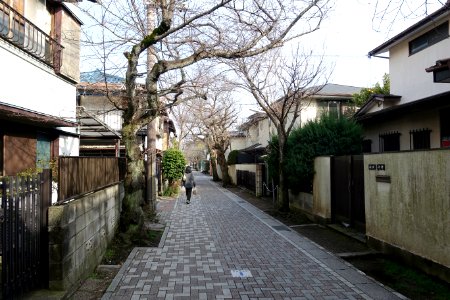 Quiet street - Kamakura, Kanagawa, Japan - DSC08370