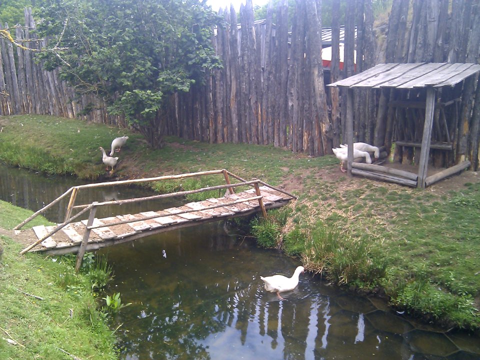 Puy du Fou - Parc nature - 01