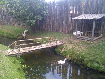 Puy du Fou - Parc nature - 01