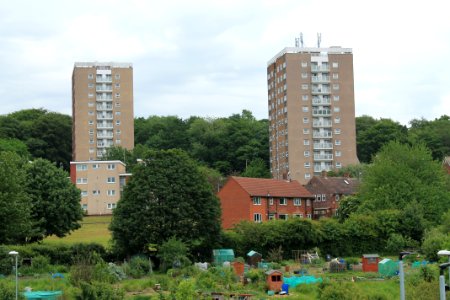Queenswood Gardens Flats 2019-06-04 (1)