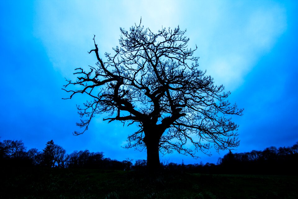 Silhouette in the evening wales