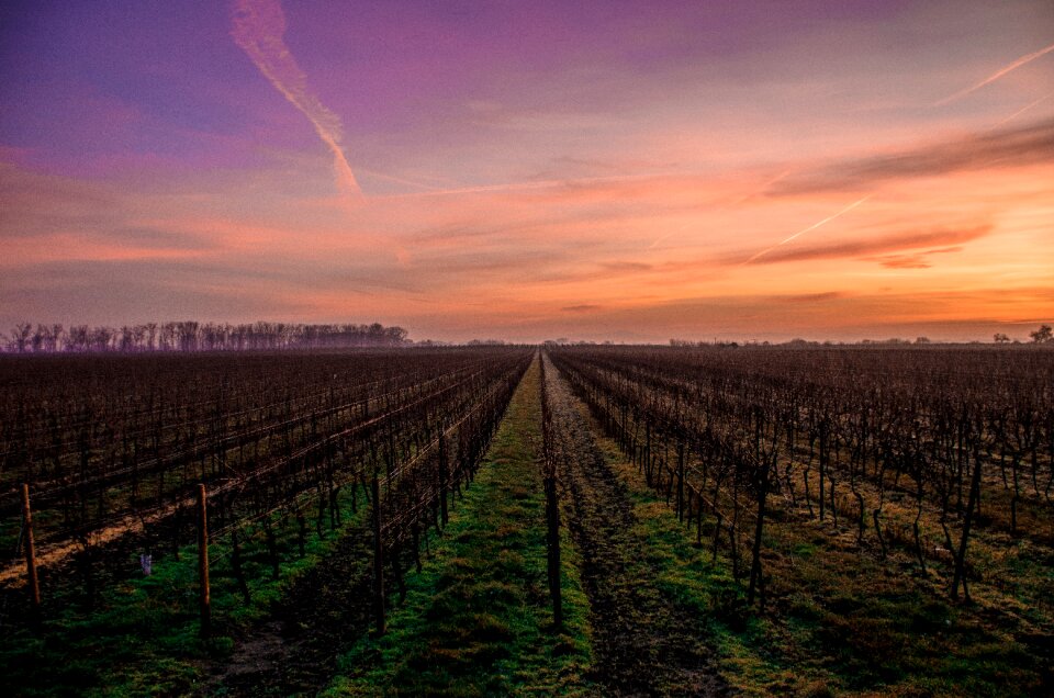 Landscape farm countryside