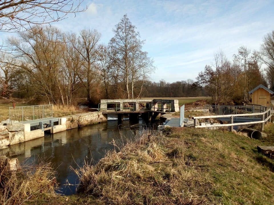 Queich, Teilungswehr Spiegelbach (3)