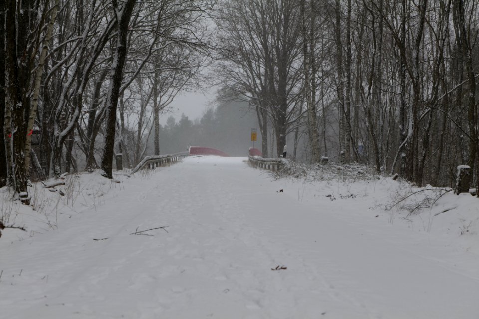 R1 in Ferch with snow 2021-02-07 28
