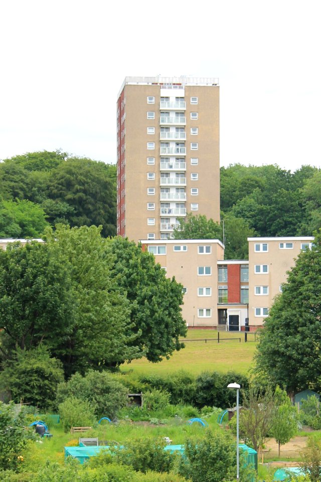 Queenswood Heights 2019-06-04