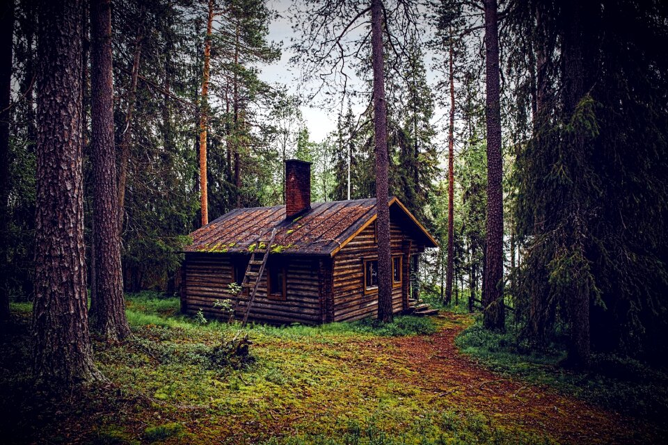 Log cabin nature forest lodge