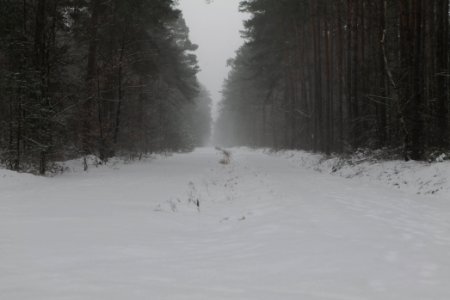 R1 in Beelitz with snow 2021-02-07 04