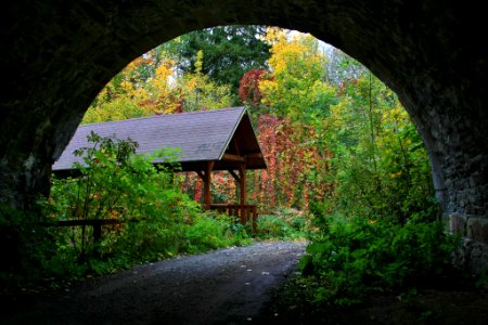 Quiet Road (231646631) photo