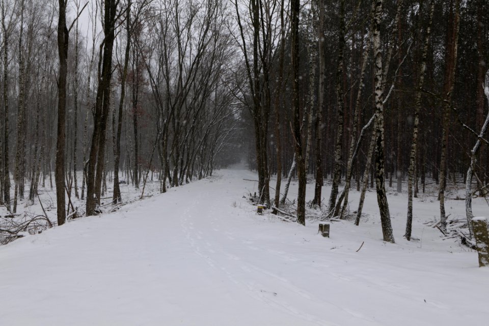 R1 in Ferch with snow 2021-02-07 30
