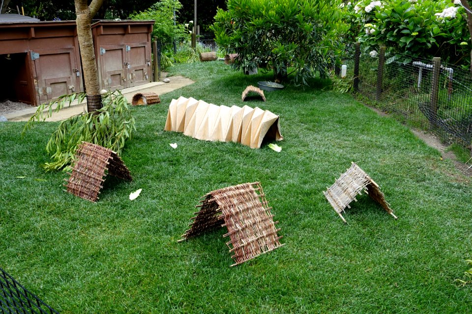 Rabbits and Guinea Pigs area - San Francisco Zoo - San Francisco, CA - DSC03469