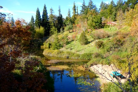 Quarryhill Botanical Garden - DSC03677