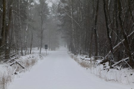 R1 in Ferch with snow 2021-02-07 31