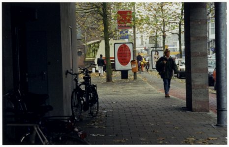 Raaks, ziende naar het westen, NL-HlmNHA 54036069