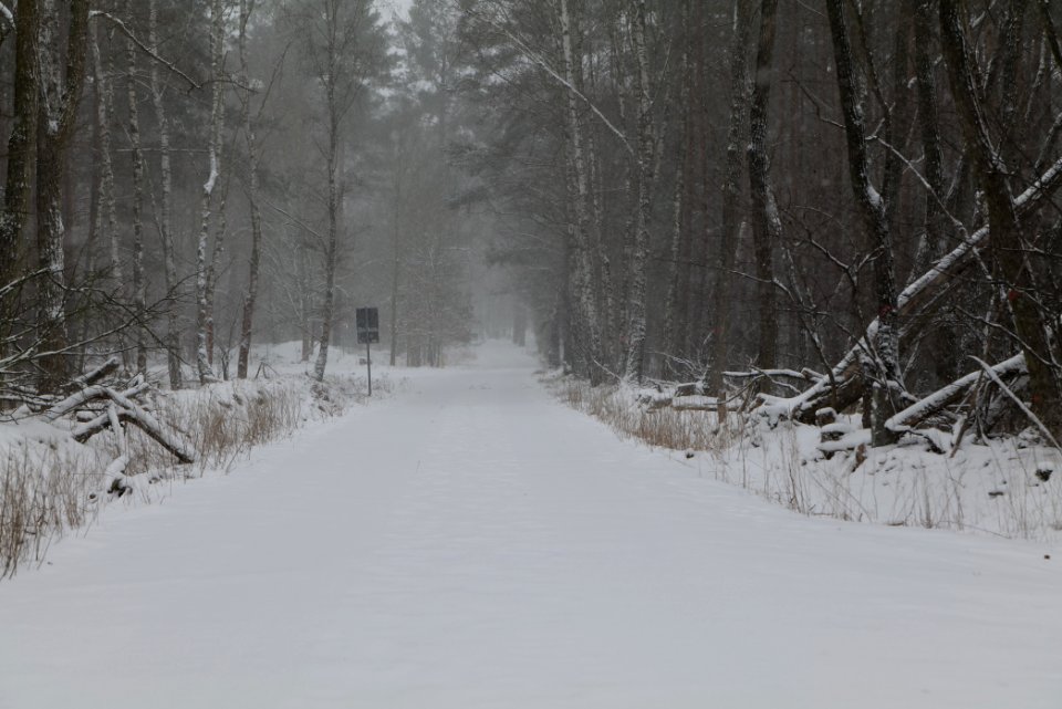 R1 in Ferch with snow 2021-02-07 32