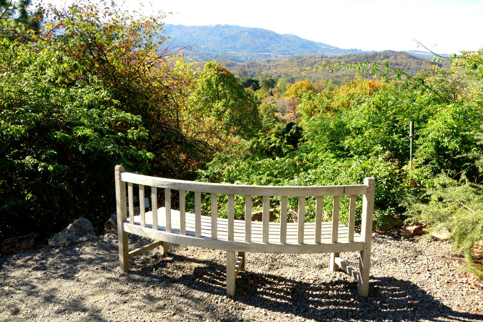 Quarryhill Botanical Garden - DSC03560