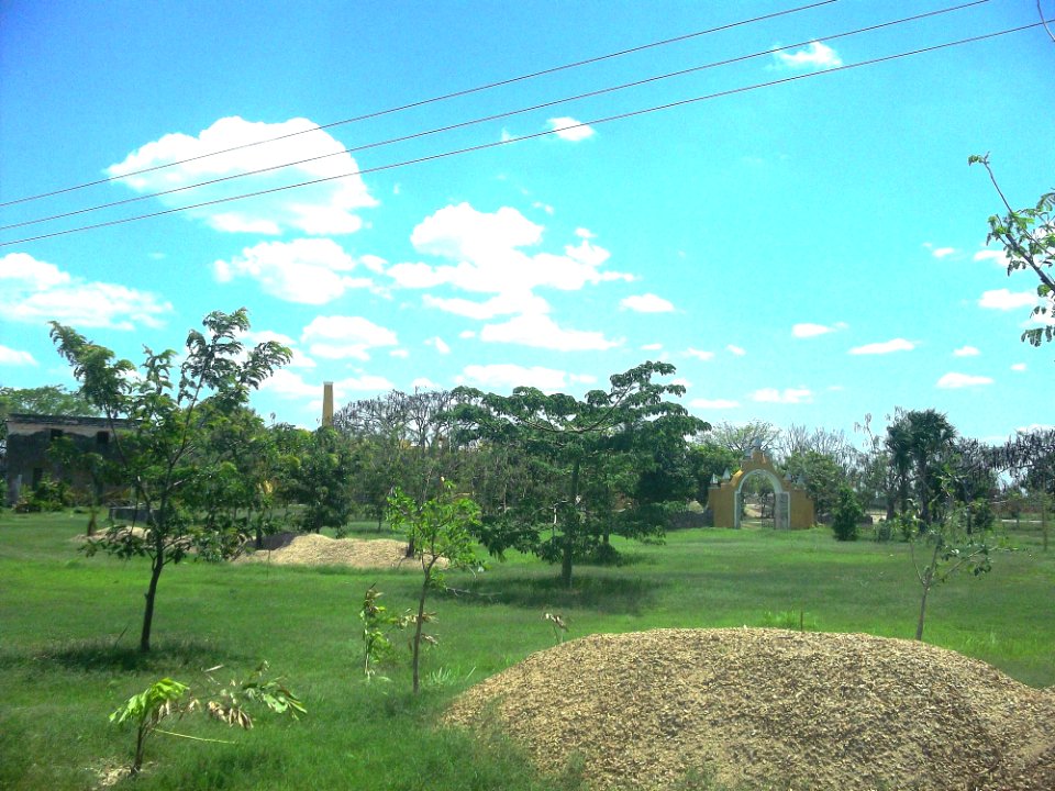 Quinta El Albero, Mérida, Yucatán (01)