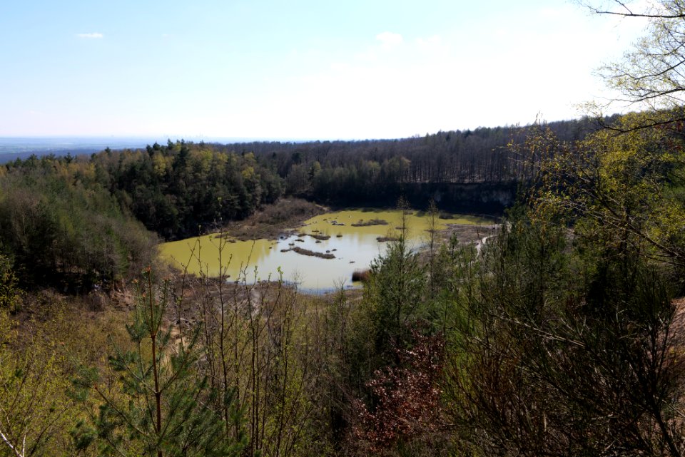 Quarzitbruch Rosbach 2021-04-02 06