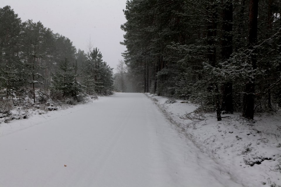 R1 in Ferch with snow 2021-02-07 14