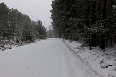 R1 in Ferch with snow 2021-02-07 14