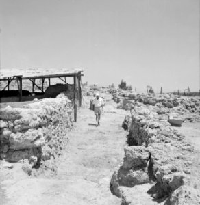 Quasileh, archeologisch onderzoek van een necropool, Bestanddeelnr 255-3796