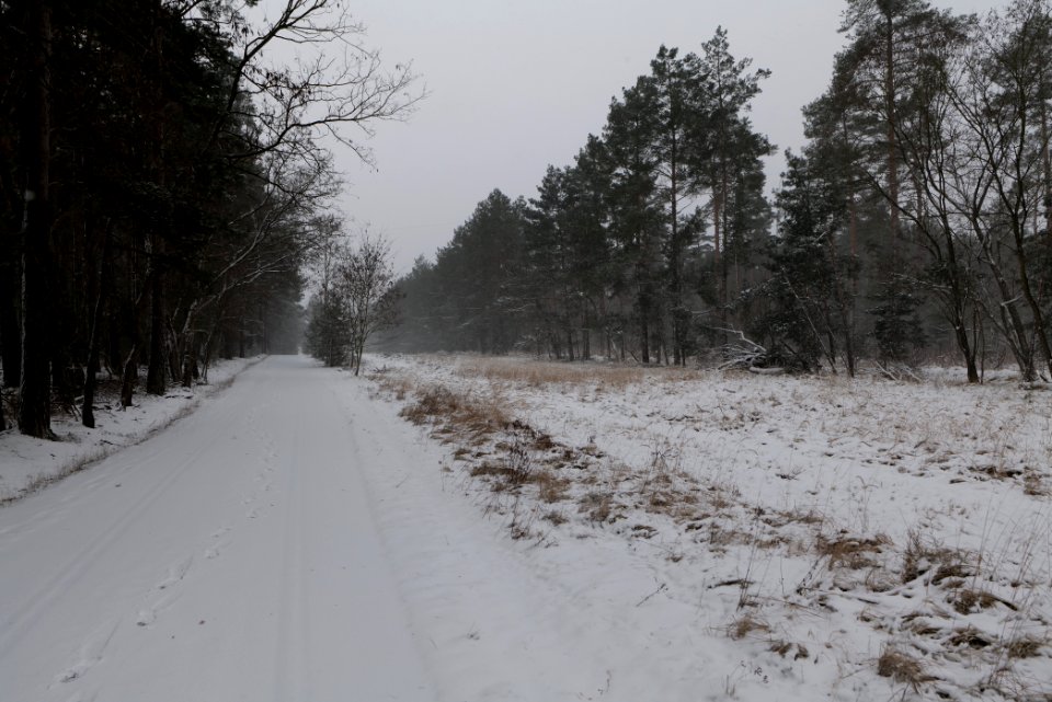 R1 in Ferch with snow 2021-02-07 17