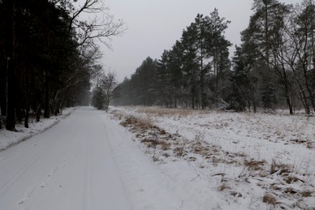 R1 in Ferch with snow 2021-02-07 17