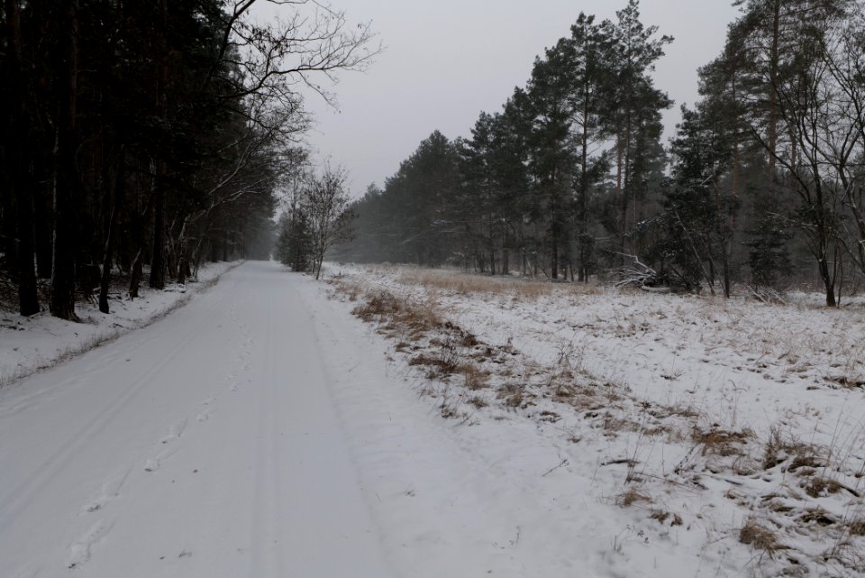 R1 in Ferch with snow 2021-02-07 16