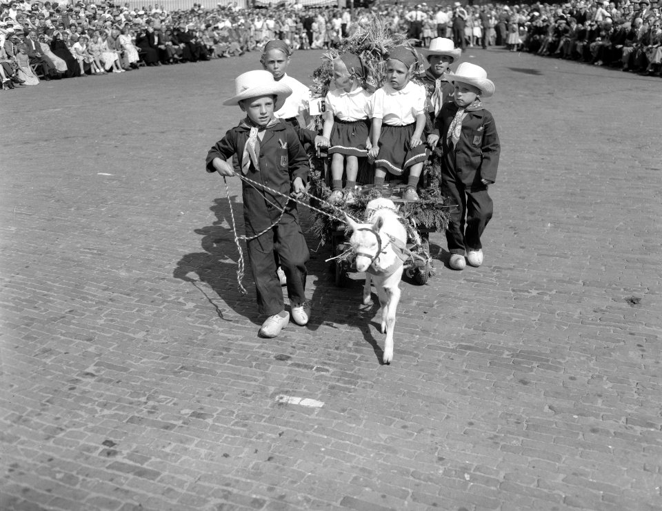 Raalte.Stoppelhaenefeest. Oogstfeest, optocht bokkenwagen, Bestanddeelnr 907-2956