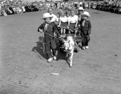 Raalte.Stoppelhaenefeest. Oogstfeest, optocht bokkenwagen, Bestanddeelnr 907-2956