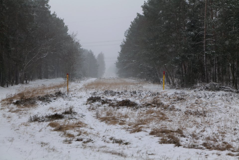 R1 in Ferch with snow 2021-02-07 19