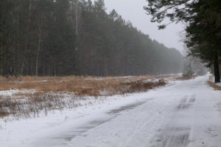 R1 in Ferch with snow 2021-02-07 09