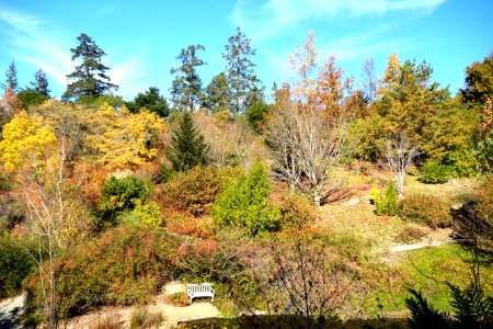 Quarryhill Botanical Garden - DSC03681