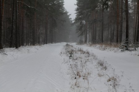 R1 in Beelitz with snow 2021-02-07 05