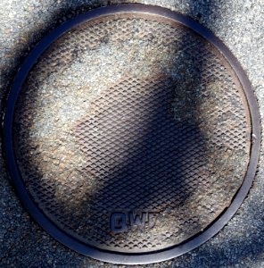 QWP - Arlington, MA - DSC00112