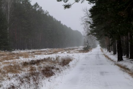 R1 in Ferch with snow 2021-02-07 11
